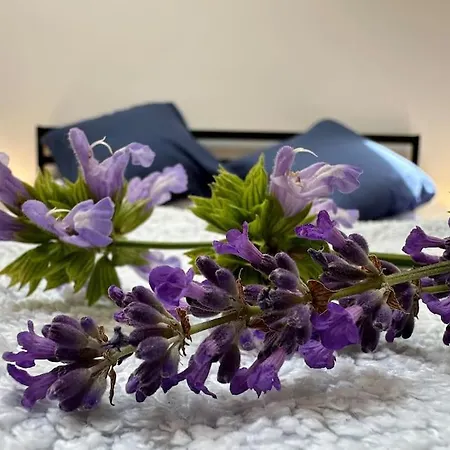 בית נופש Esprit Charentais - The Bothy